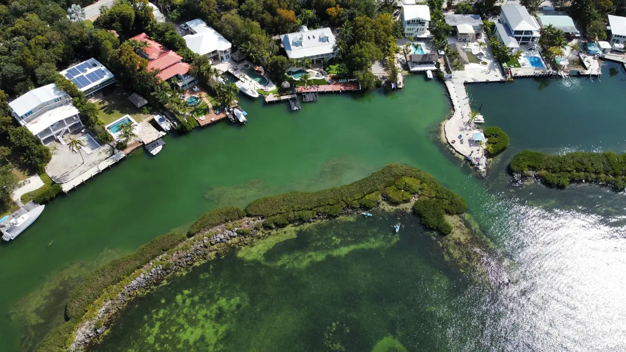 Aerial view of houses by the water.